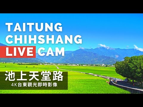 臺東池上天堂路田野與山景，戀愛引擎公開約會景點預覽